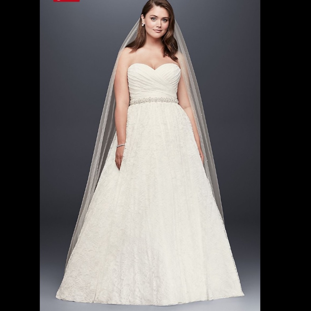 David’s Bridal Wedding Dress & Mid Rise Lace Veil